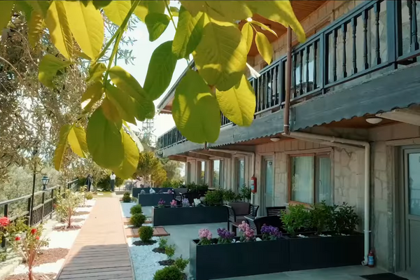 Asso Kartal Yuvası Tanıtım Videosu